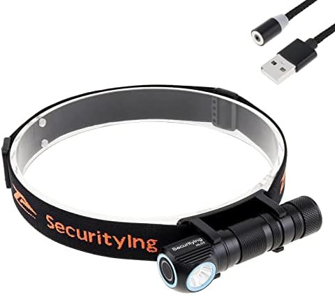 SecurityIng