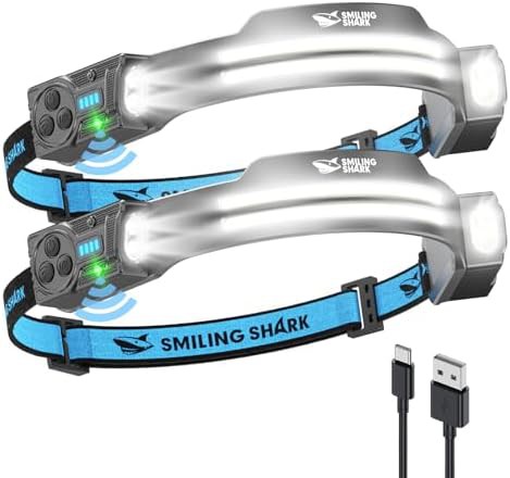 Dual Spotlight and Floodlight Rechargeable Head Torch Pair
